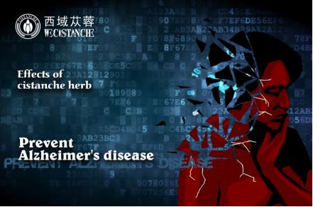cistanche total glycoside prevent ischemia-reperfusion injury