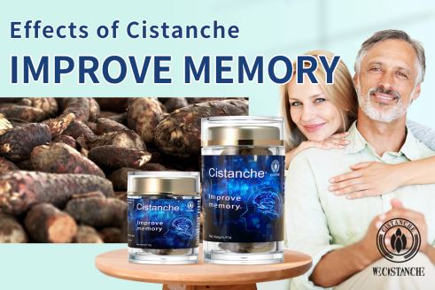 Cistanche glycoside can treat dementia