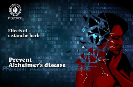 cistanche anti-dementia and Alzheimer's disease