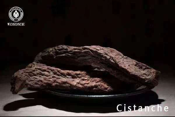 Cistanche tubulosa