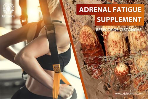 to prevent cancer and fibrosis by to prevent cancer and fibrosis by