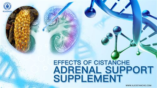 kidney care kidney care