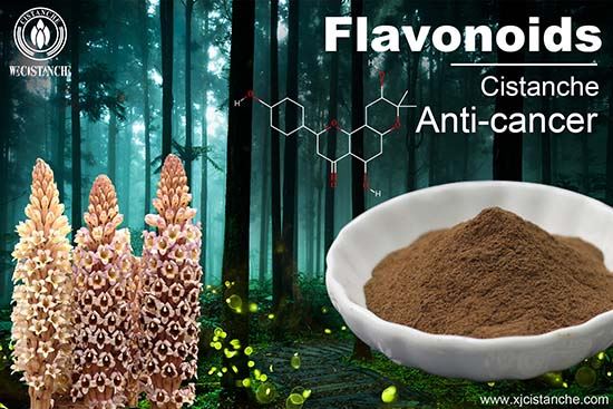 Flavonoid in Cistanche tubulosa