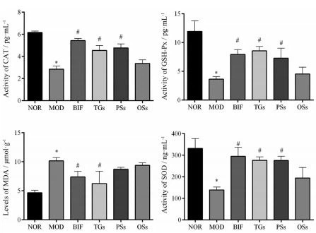 Figure 10 Effects of extracts of C. deserticola Y. C. Ma on oxidative stress of liver in alcoholic liver injury mice. n = 5, -x ± s. *P < 0.05 vs NOR; #P < 0.05 vs MOD. CAT: Catalase; GSH-Px: Glutathione peroxidase; MDA: Malondialdehyde; SOD: Superoxide dismutase