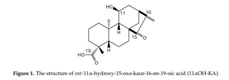 Figure 1. The structure of ent-11α-hydroxy-15-oxo-kaur-16-en-19-oic acid (11αOH-KA). Figure 1. The structure of ent-11α-hydroxy-15-oxo-kaur-16-en-19-oic acid (11αOH-KA).