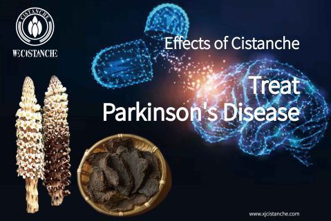 cistanche-neuroprotection cistanche-neuroprotection