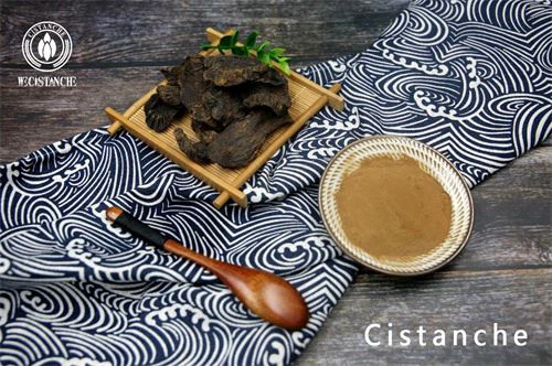 cistanche extract powder
