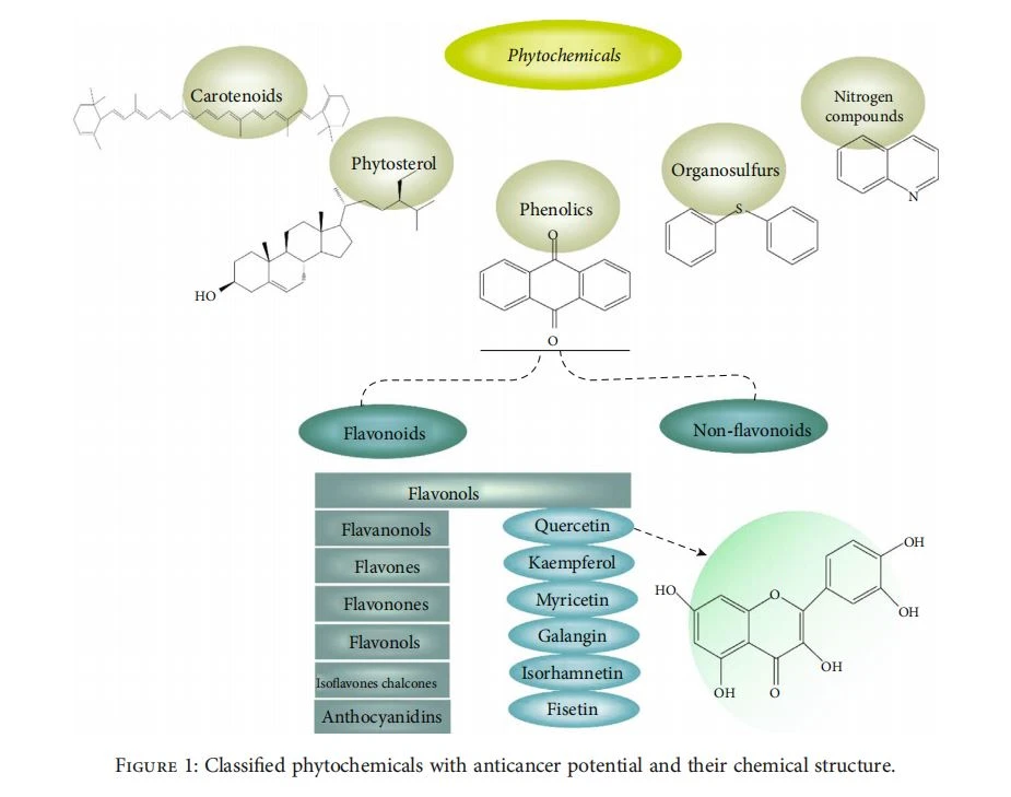 Classified phytochemicals with anticancer potential and their chemical structure Classified phytochemicals with anticancer potential and their chemical structure