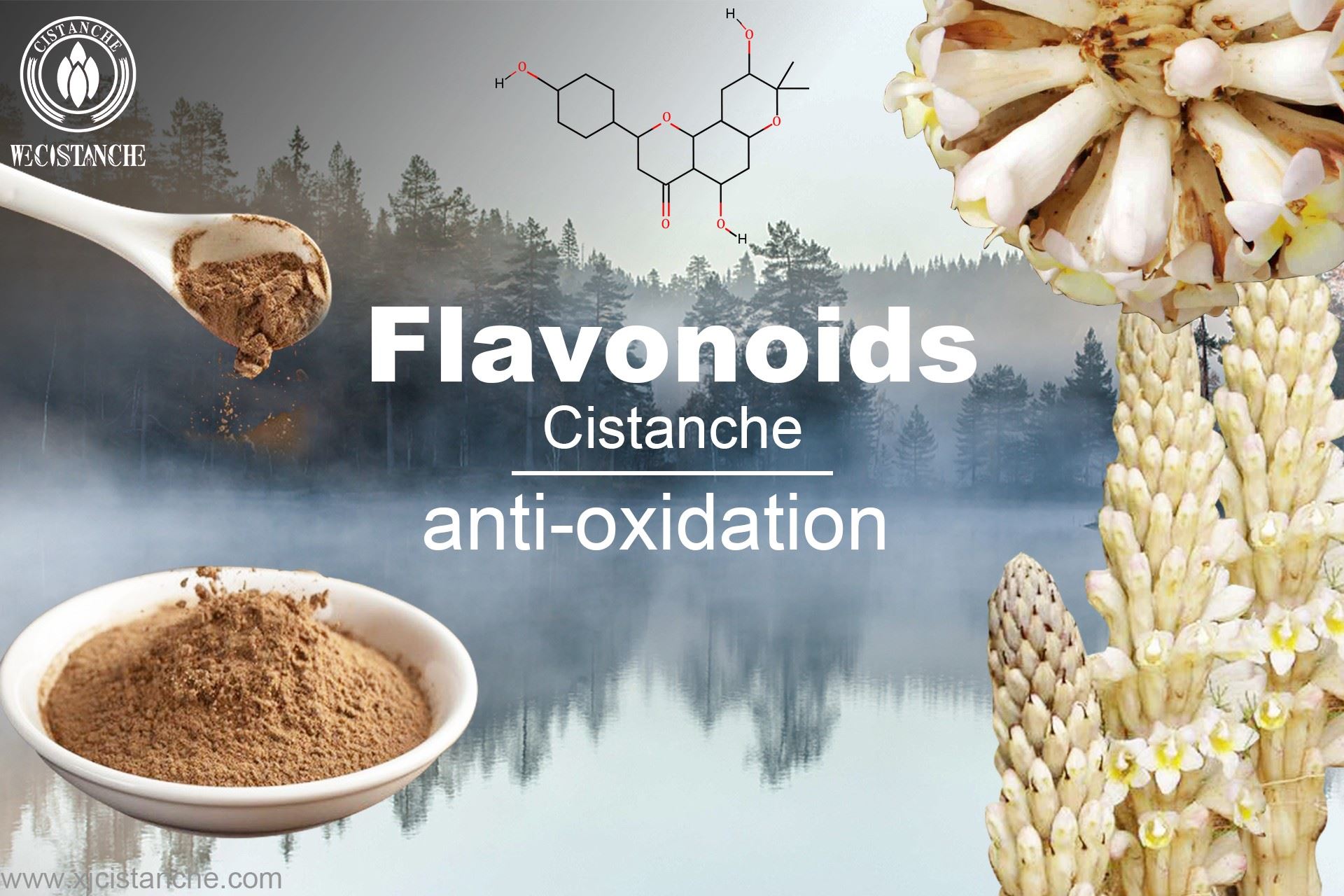 anti-oxidation