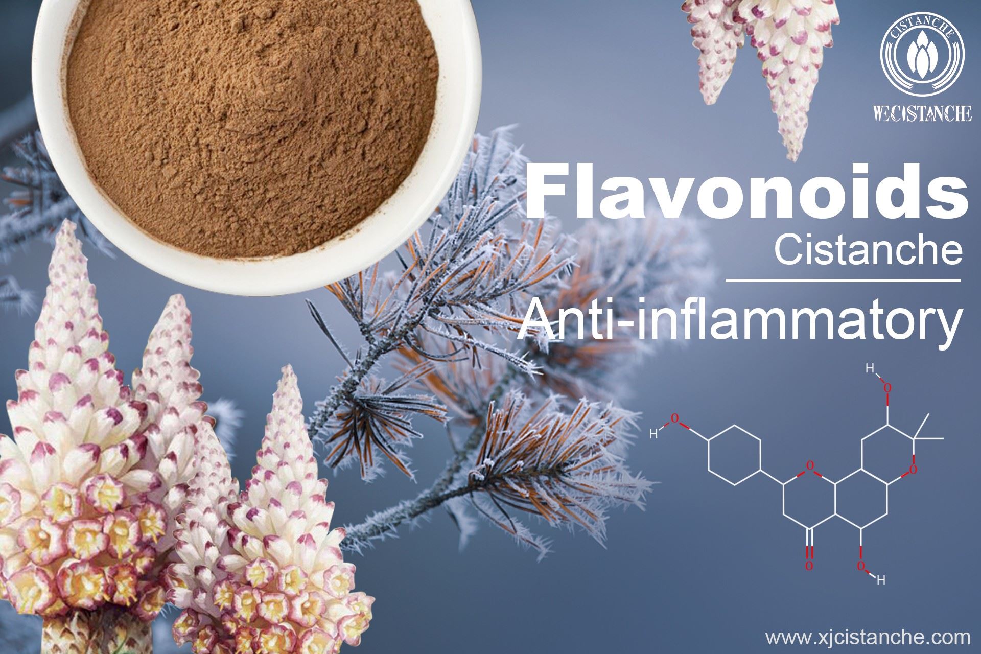 Flavonoids  anti-inflammatory