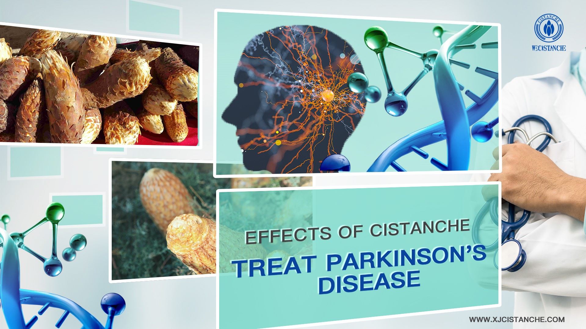 how to prevenet parkinson's disease