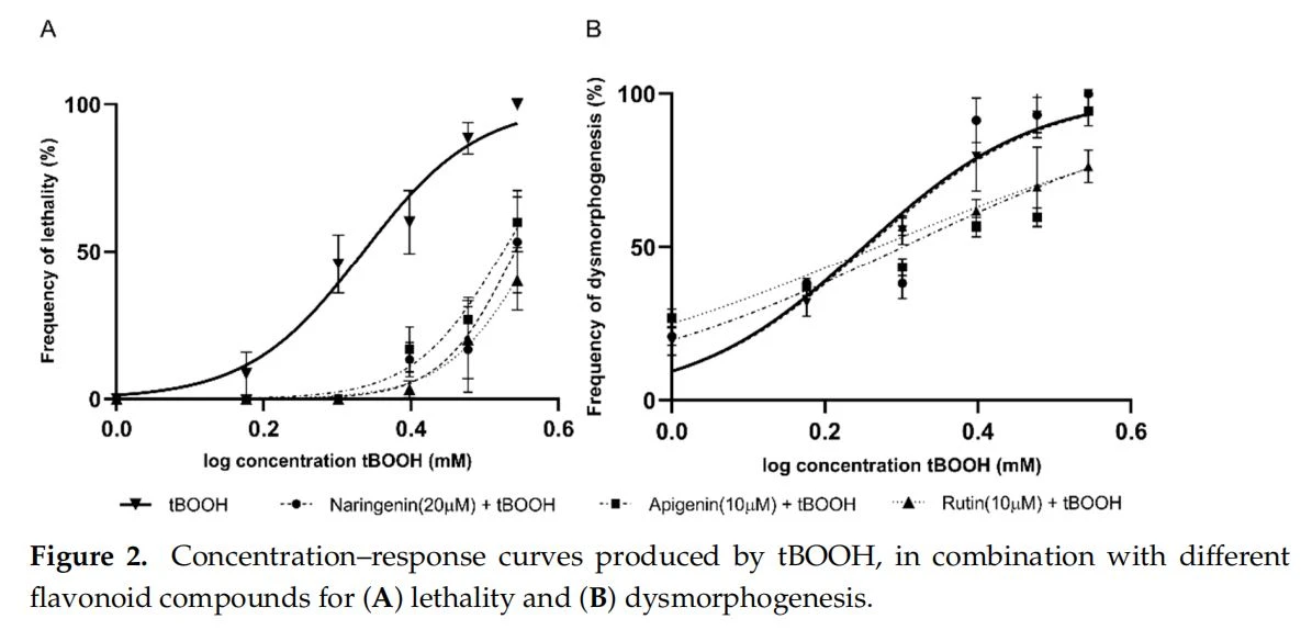 Concentration-response curves produced by tBOOH, in combination with different flavonoid compounds for(A) lethality and (B) dysmorphogenesis. Concentration-response curves produced by tBOOH, in combination with different flavonoid compounds for(A) lethality and (B) dysmorphogenesis.
