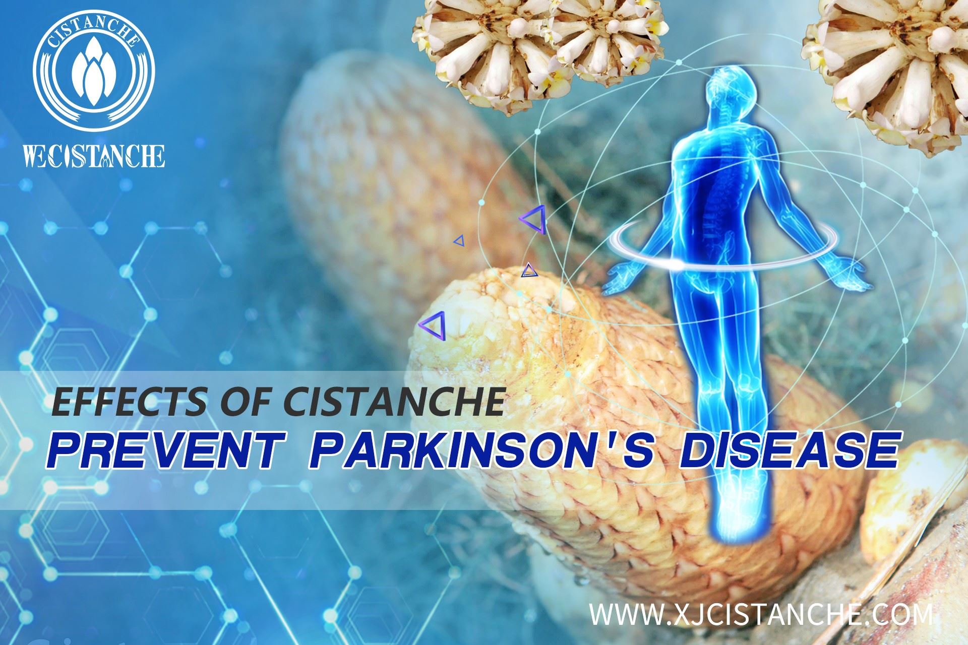 how to prevent parkinson's disease
