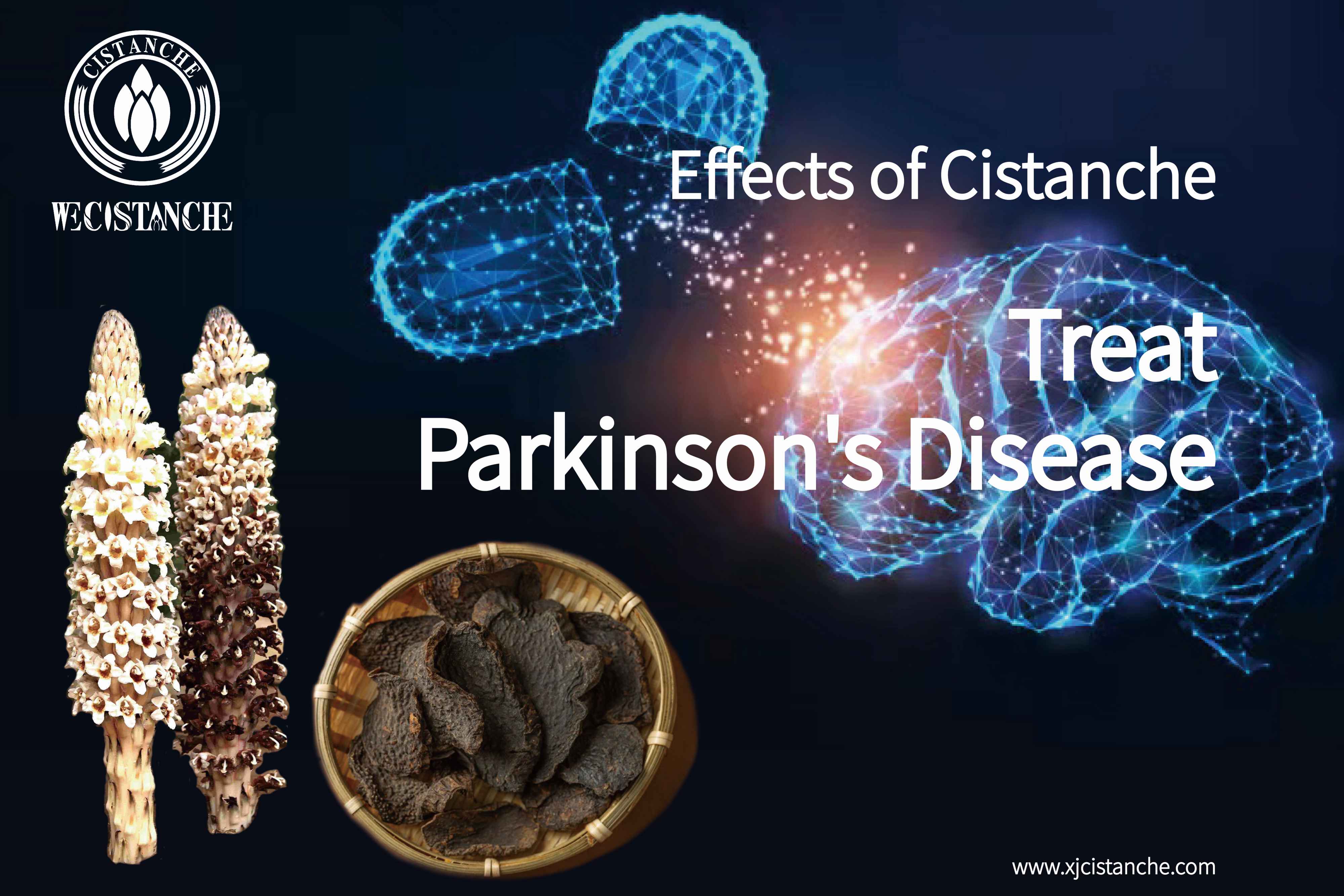the way to prevent parkinson's disease