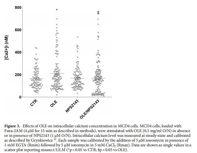 Figure 3. Efects of OLE on intracellular calcium concentration in MCD4 cells. MCD4 cells, loaded with Fura-2AM (4 μM for 15 min as described in methods), were stimulated with OLE (0.1 mg/ml O/N) in absence or in presence of NPS2143 (1 µM O/N). Intracellular calcium level was measured at steady-state and calibrated as described by Grynkiewicz 57. Each sample was calibrated by the addition of 5 µM ionomycin in presence of 1 mM EGTA (Rmin) followed by 5 µM ionomycin in 5 mM CaCl2 (Rmax). Data are shown as single values in a scatter plot reporting means±S.E.M (*p<0.05 vs CTR; $p<0.05 vs OLE). Figure 3. Efects of OLE on intracellular calcium concentration in MCD4 cells. MCD4 cells, loaded with Fura-2AM (4 μM for 15 min as described in methods), were stimulated with OLE (0.1 mg/ml O/N) in absence or in presence of NPS2143 (1 µM O/N). Intracellular calcium level was measured at steady-state and calibrated as described by Grynkiewicz 57. Each sample was calibrated by the addition of 5 µM ionomycin in presence of 1 mM EGTA (Rmin) followed by 5 µM ionomycin in 5 mM CaCl2 (Rmax). Data are shown as single values in a scatter plot reporting means±S.E.M (*p<0.05 vs CTR; $p<0.05 vs OLE).