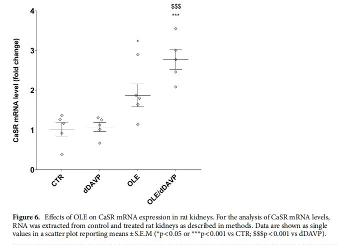 Efects of OLE on CaSR mRNA expression in rat kidneys. For the analysis of CaSR mRNA levels, RNA was extracted from control and treated rat kidneys as described in methods. Data are shown as single values in a scatter plot reporting means±S.E.M (*p<0.05 or ***p<0.001 vs CTR; $$$p<0.001 vs dDAVP). Efects of OLE on CaSR mRNA expression in rat kidneys. For the analysis of CaSR mRNA levels, RNA was extracted from control and treated rat kidneys as described in methods. Data are shown as single values in a scatter plot reporting means±S.E.M (*p<0.05 or ***p<0.001 vs CTR; $$$p<0.001 vs dDAVP).