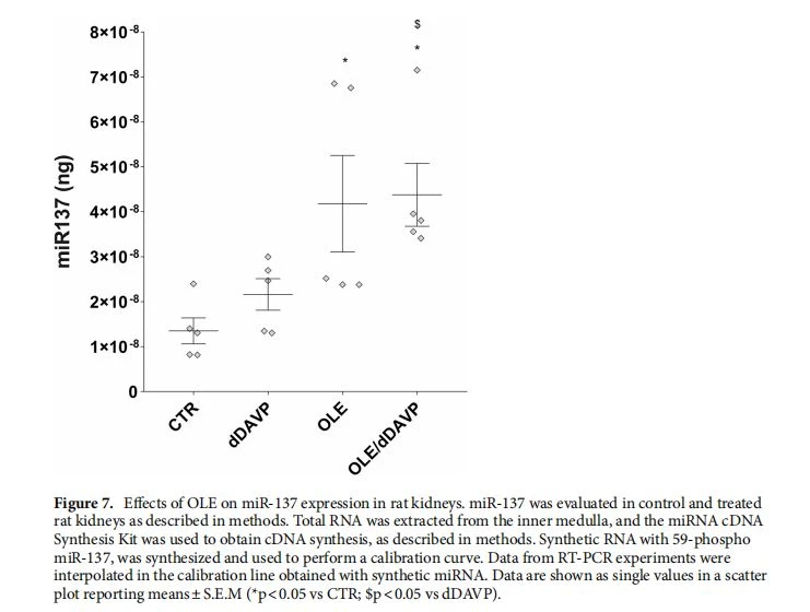 Efects of OLE on miR-137 expression in rat kidneys. miR-137 was evaluated in control and treated rat kidneys as described in methods. Total RNA was extracted from the inner medulla, and the miRNA cDNA Synthesis Kit was used to obtain cDNA synthesis, as described in methods. Synthetic RNA with 59-phospho miR-137, was synthesized and used to perform a calibration curve. Data from RT-PCR experiments were interpolated in the calibration line obtained with synthetic miRNA. Data are shown as single values in a scatter plot reporting means±S.E.M (*p<0.05 vs CTR; $p<0.05 vs dDAVP). Efects of OLE on miR-137 expression in rat kidneys. miR-137 was evaluated in control and treated rat kidneys as described in methods. Total RNA was extracted from the inner medulla, and the miRNA cDNA Synthesis Kit was used to obtain cDNA synthesis, as described in methods. Synthetic RNA with 59-phospho miR-137, was synthesized and used to perform a calibration curve. Data from RT-PCR experiments were interpolated in the calibration line obtained with synthetic miRNA. Data are shown as single values in a scatter plot reporting means±S.E.M (*p<0.05 vs CTR; $p<0.05 vs dDAVP).