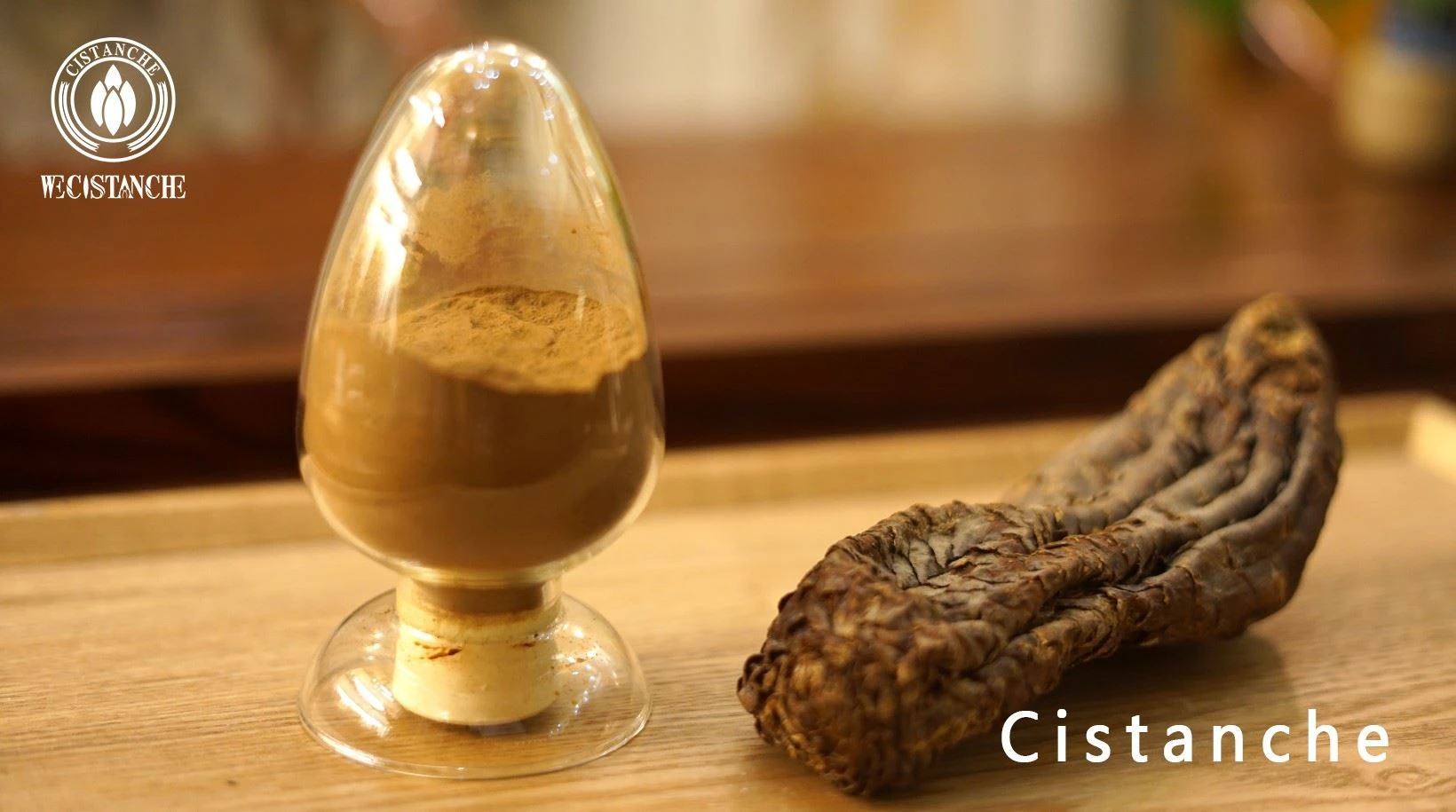 Cistanche tubulosa extract powder