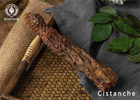 cistanche tubulosa