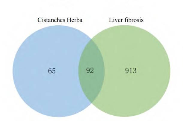 cistanche benefits study cistanche benefits study
