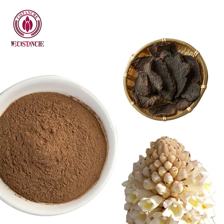 cistanche benefits study cistanche benefits study