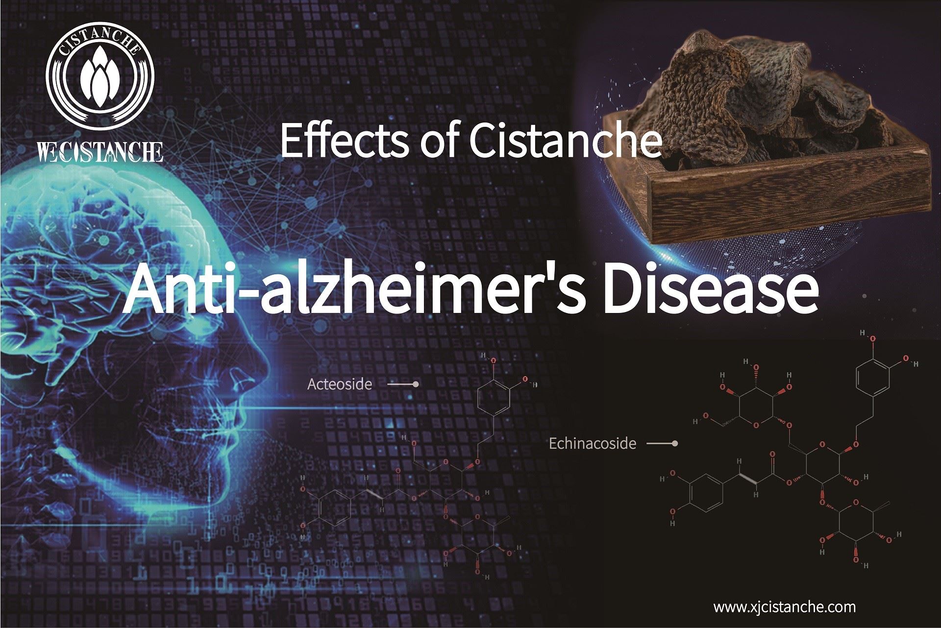 best herb for anti alzheimer's disease best herb for anti alzheimer's disease