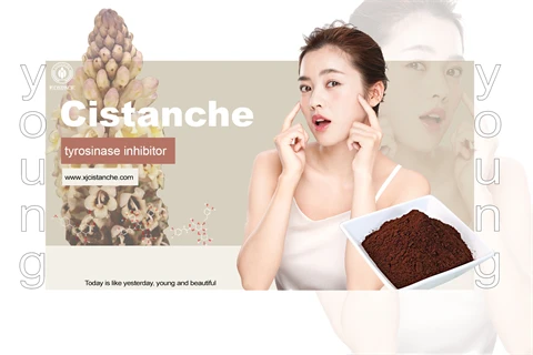 anti aging4 anti aging4