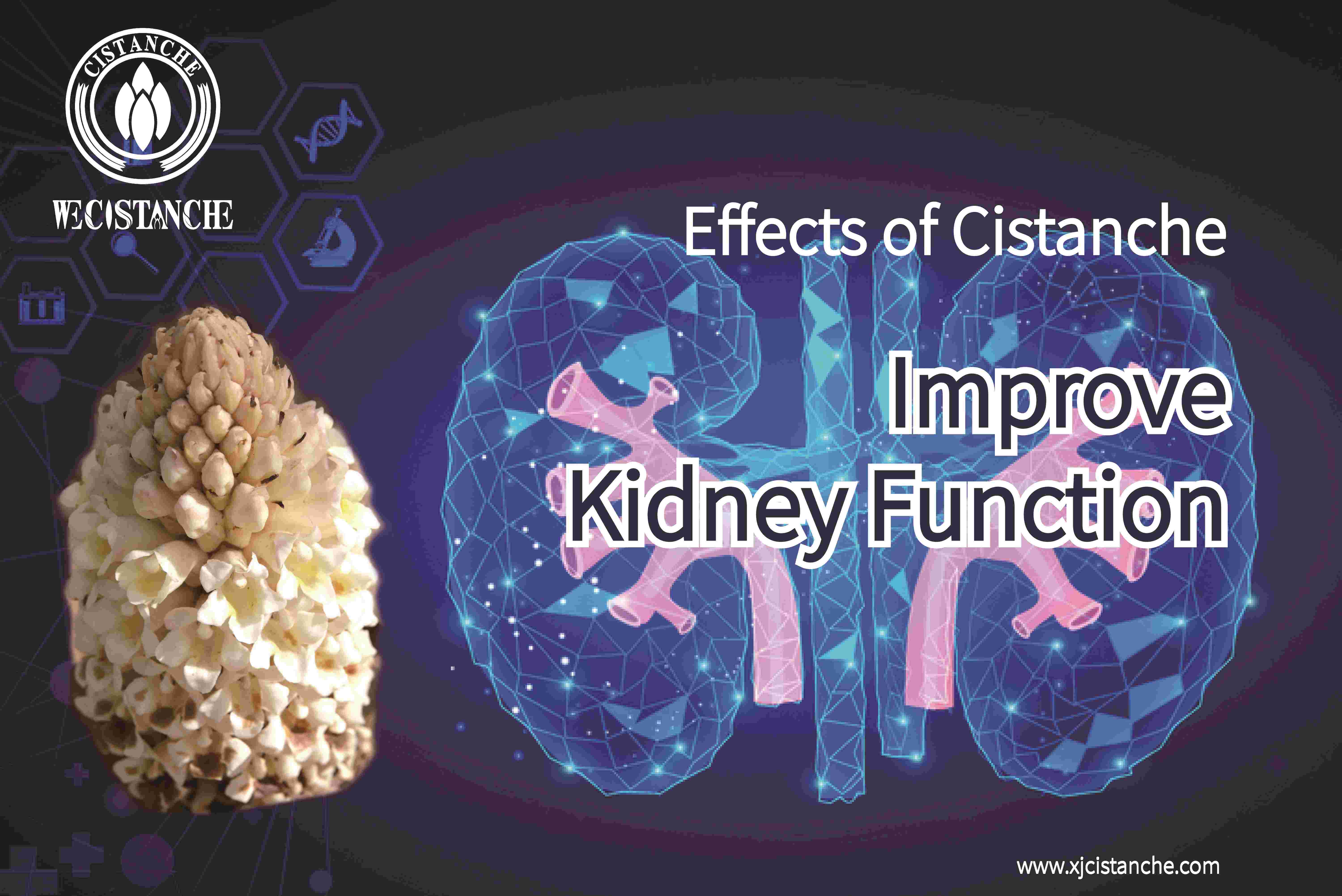 how to prevent kidney disease how to prevent kidney disease