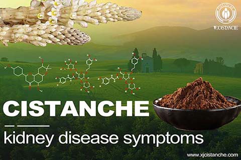 best herb for reducing creatinine best herb for reducing creatinine