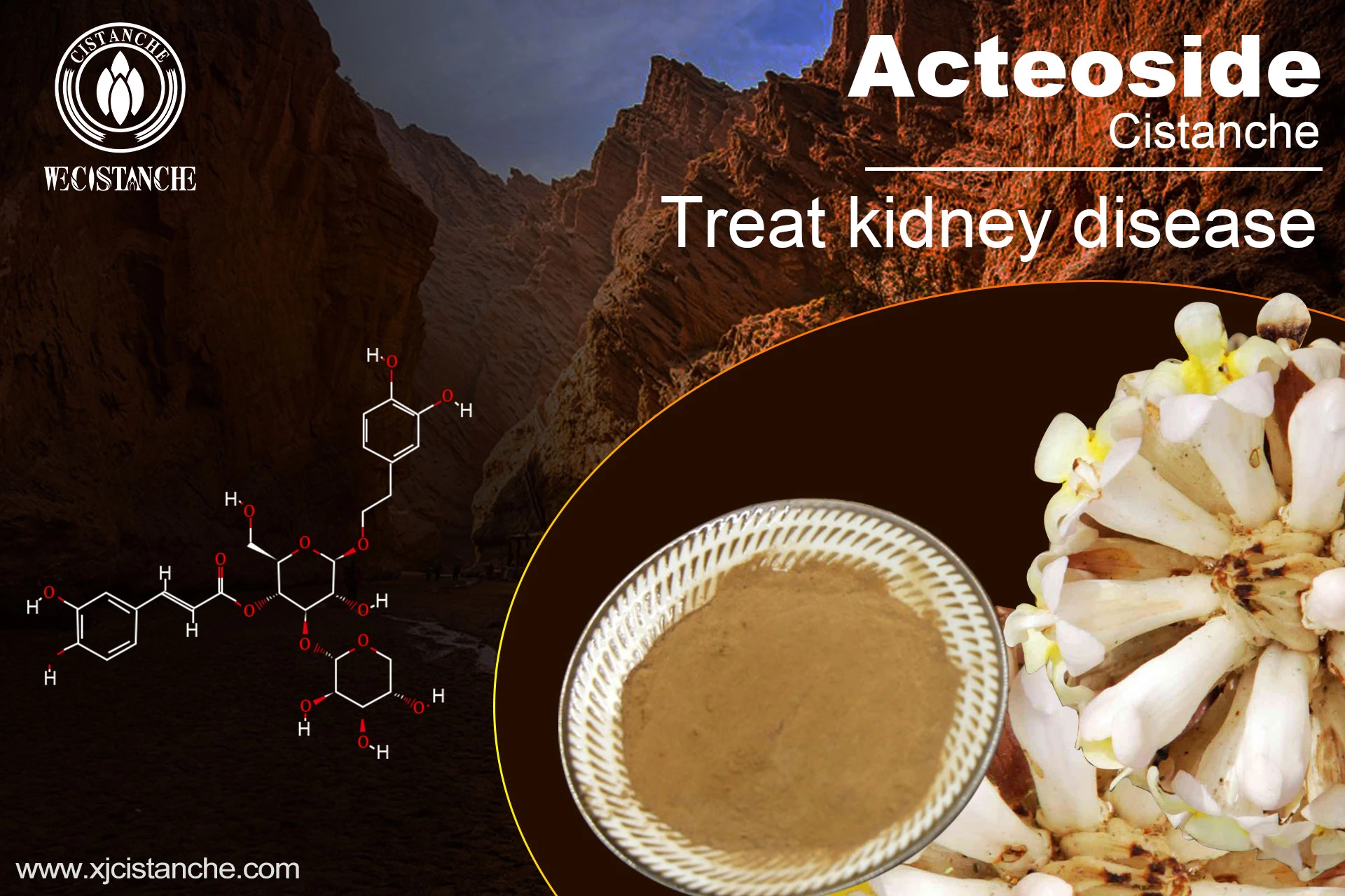how to prevent kidney failure how to prevent kidney failure