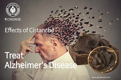 cistanche capsule benefits cistanche capsule benefits