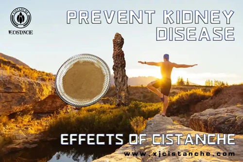 how to treat kidney disease how to treat kidney disease