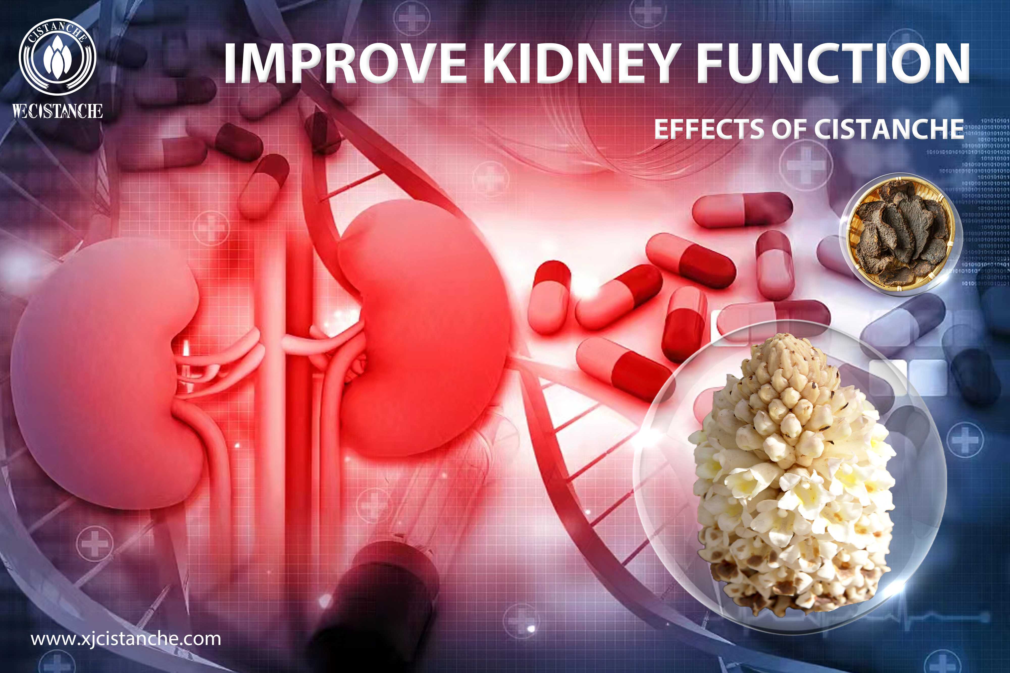 the best kidney supplement
