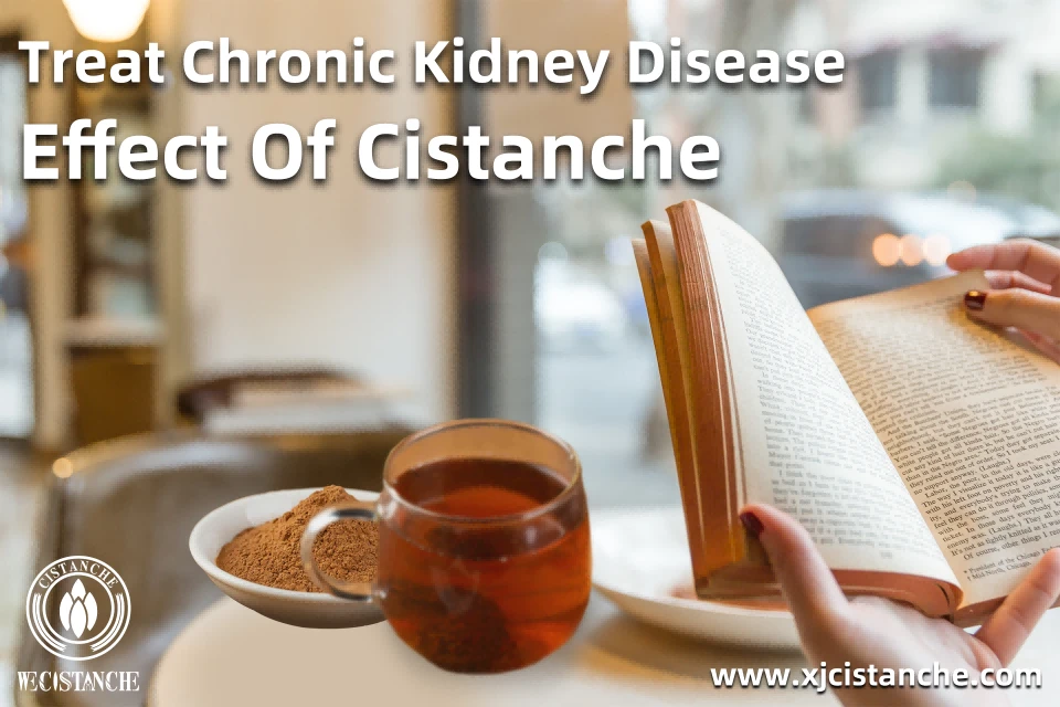Treat Chornic Kidney Disease