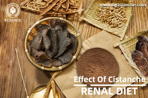 the effect of herba cistanches the effect of herba cistanches