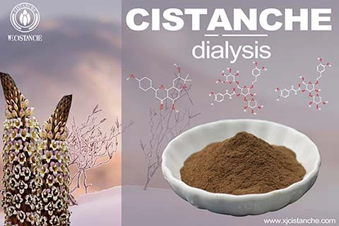 Cistanche-kidney dialysis-1(19) Cistanche-kidney dialysis-1(19)