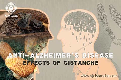 Anti Alzheimer's Anti Alzheimer's