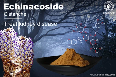 Cistanche benefits