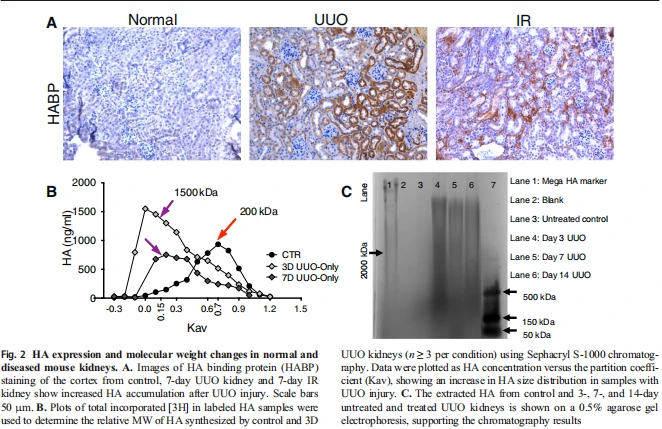 Figure 2 Figure 2