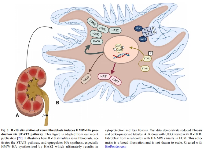 Figure 3 Figure 3