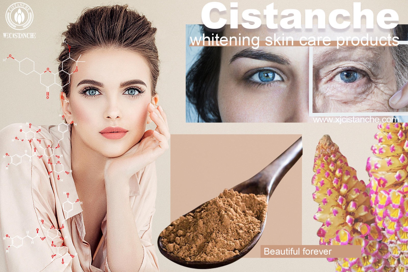 does cistanche work does cistanche work