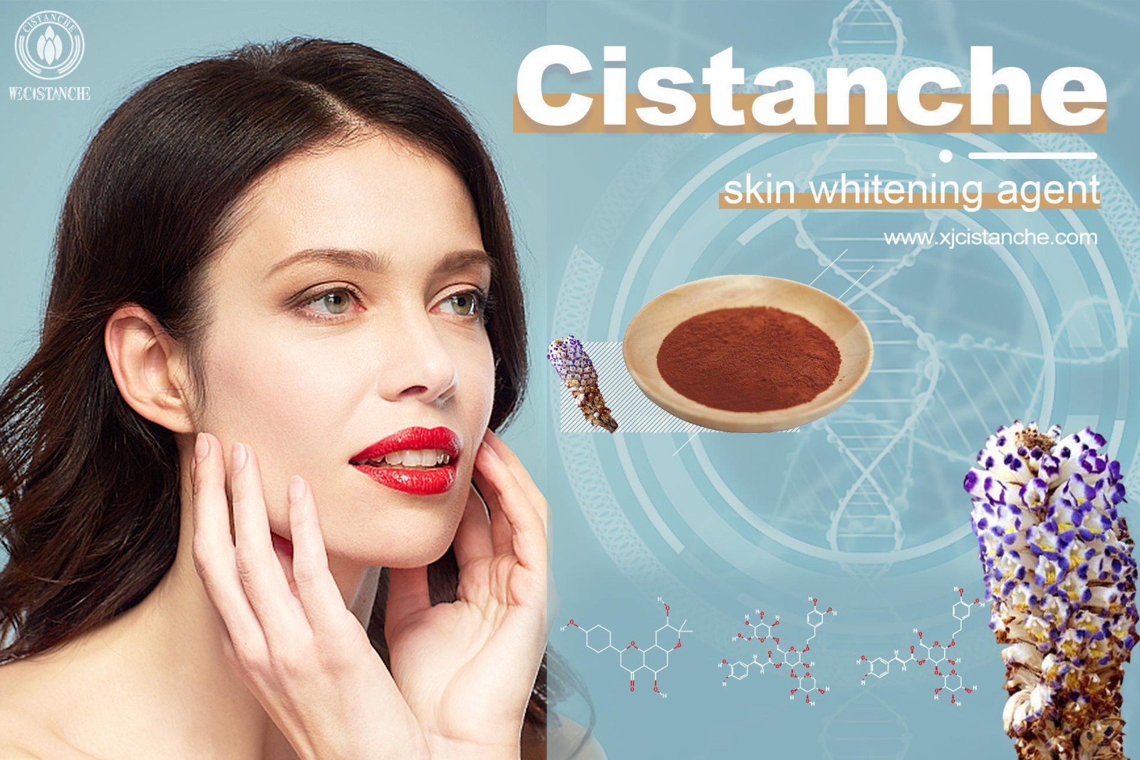 cistanche nedir cistanche nedir
