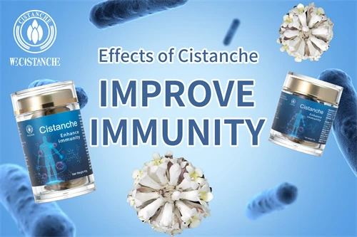 when to take cistanche