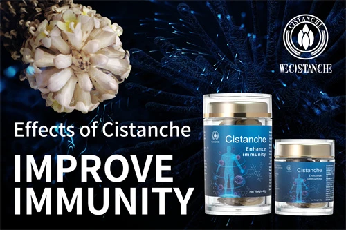 cistanche wirkung