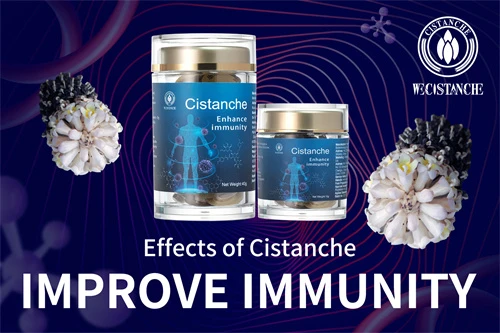 cistanche libido