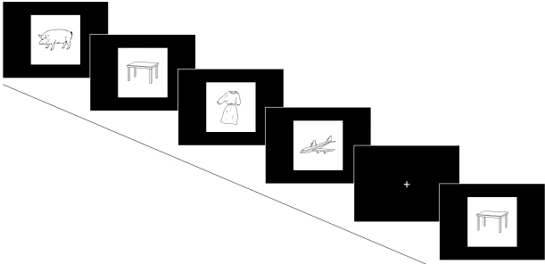 FIGURE 1 