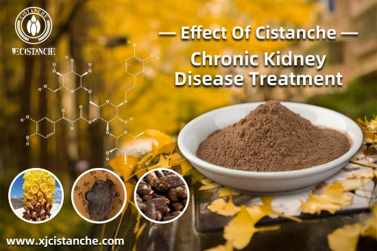best herbs for kidney health best herbs for kidney health