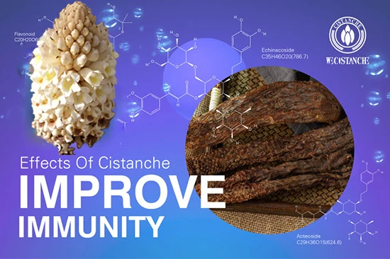 Cistanche deserticola-improve immunity - Cistanche deserticola-improve immunity -