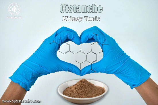  25% Echinacoside AND 9% ACTEOSIDE(VERBASCOSIDE) CISTANCHE 