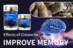 increase brain power